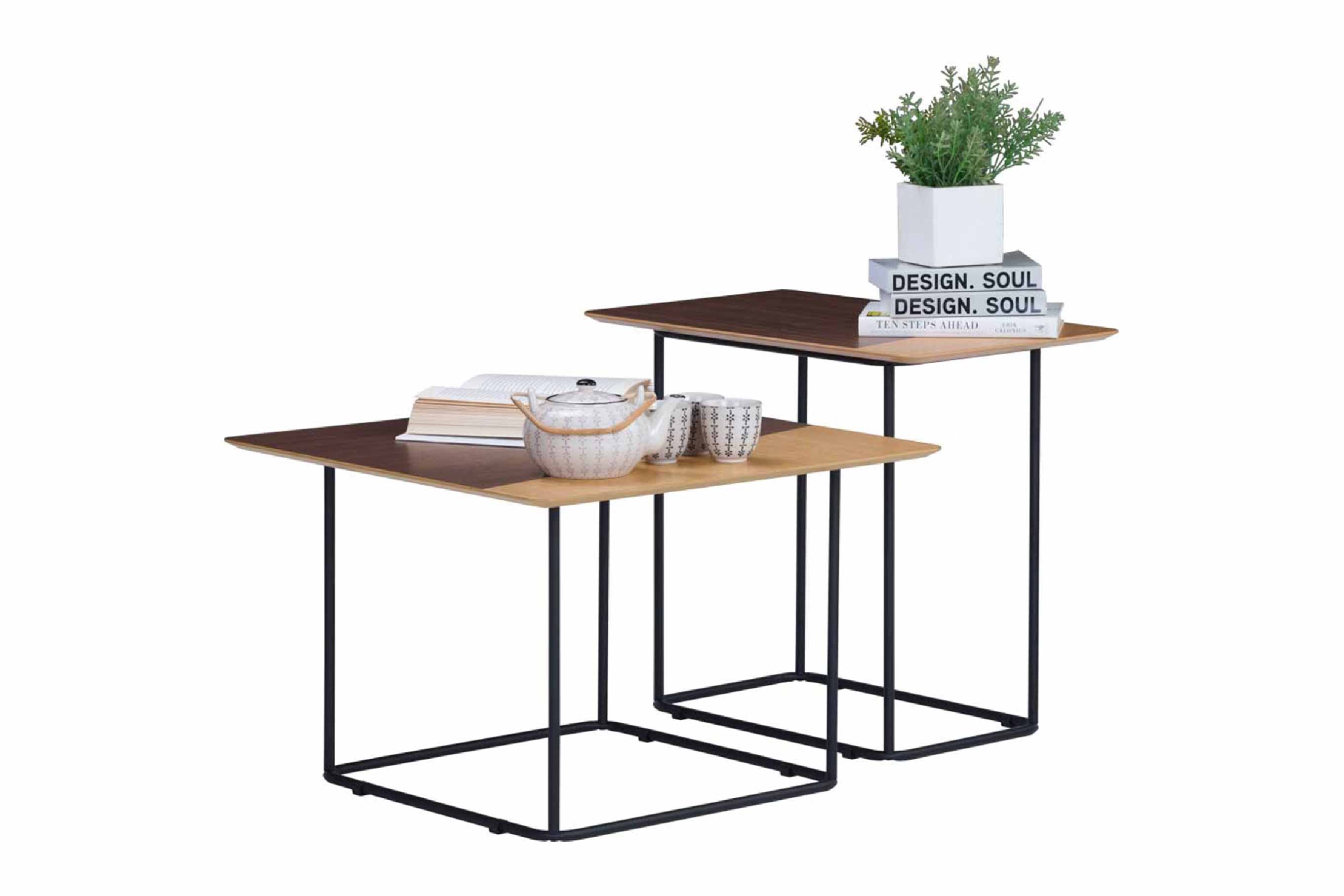 馬來西亞原裝進口實木傢俬 - NC系列 - DESTRY茶几