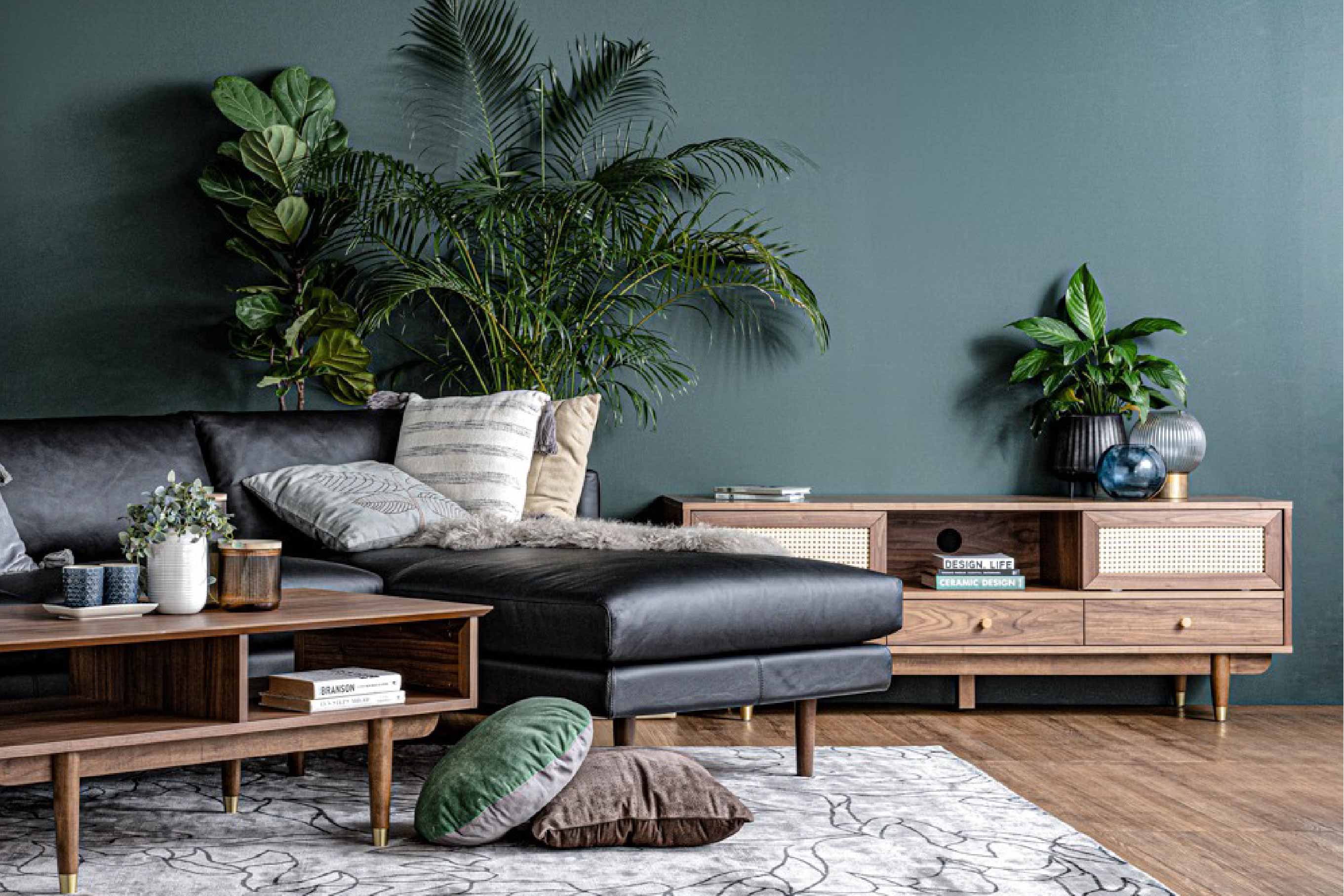 馬來西亞原裝進口實木傢俬 - NC系列 - ROYSTON 1.6米電視櫃