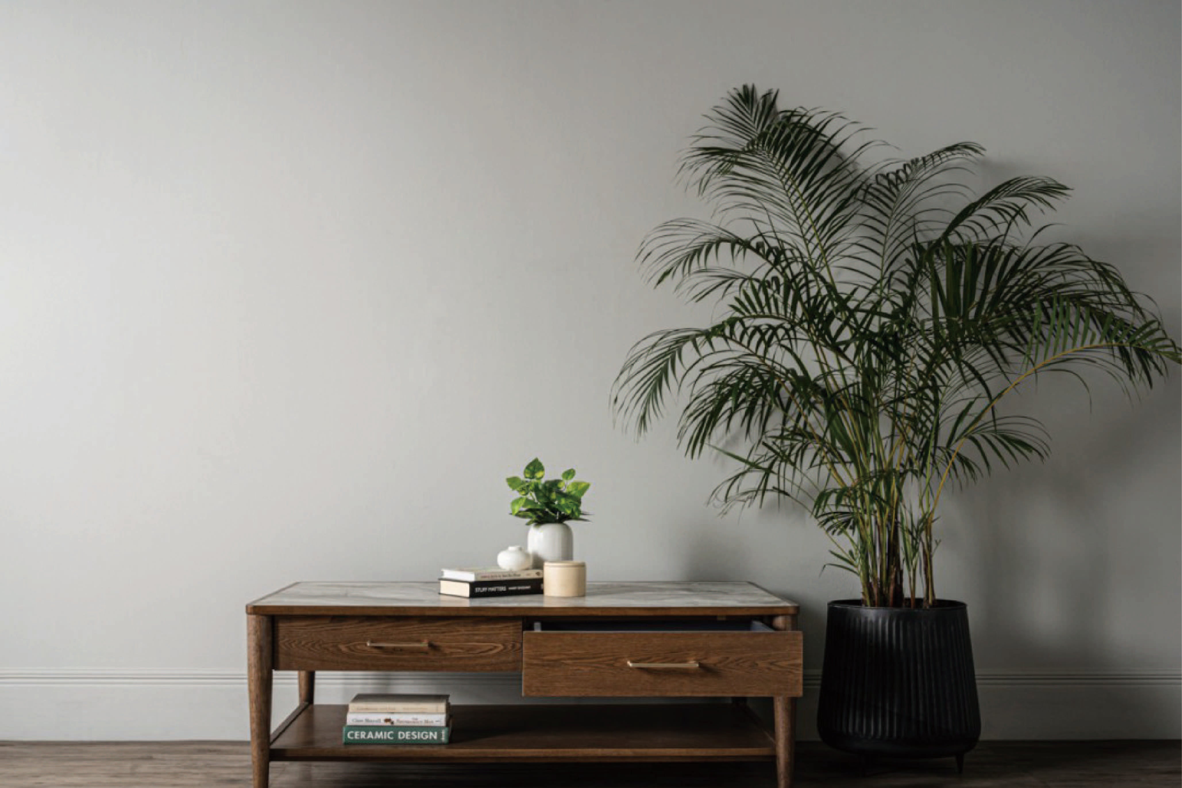 馬來西亞原裝進口實木傢俬 - NZ系列 - BREDA茶几