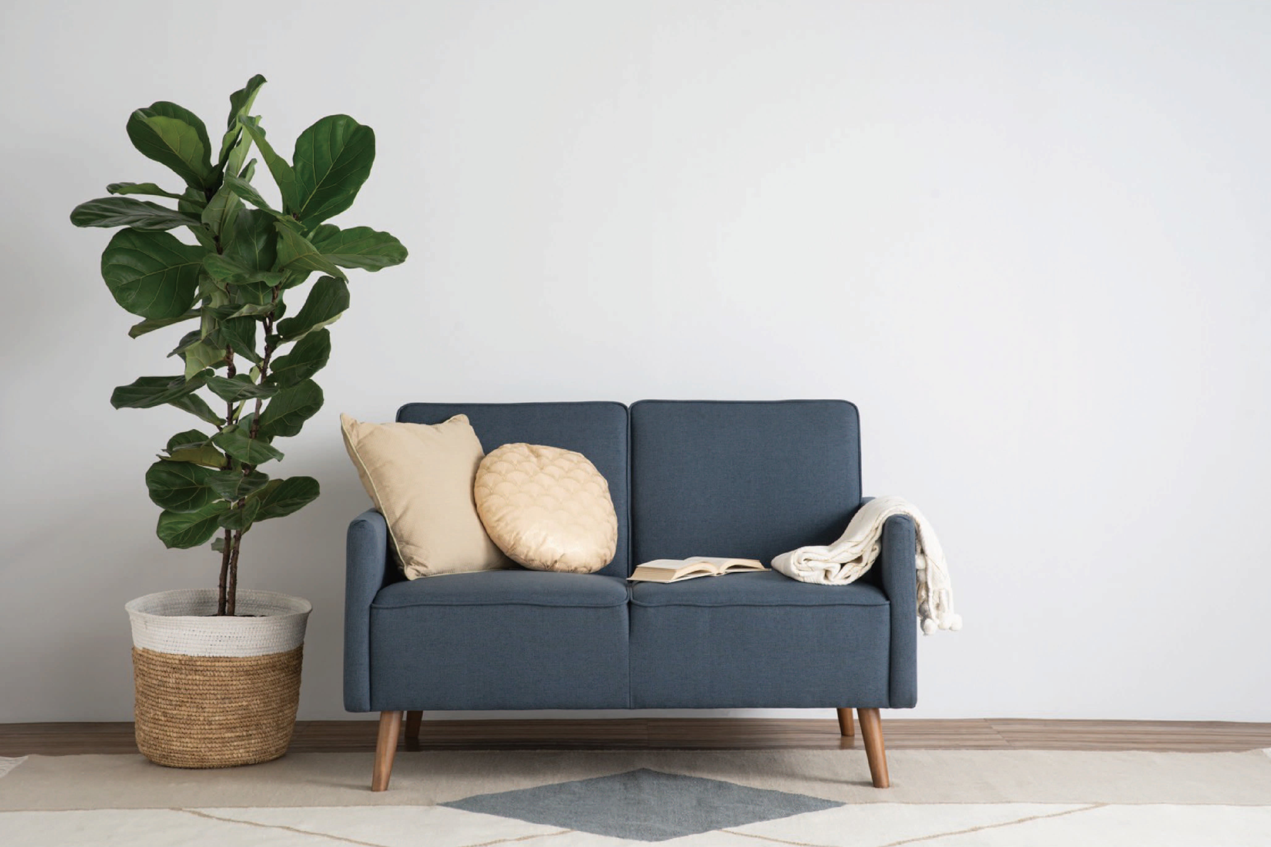 馬來西亞原裝進口實木傢俬 - NZ系列 - TONALE兩座位梳化