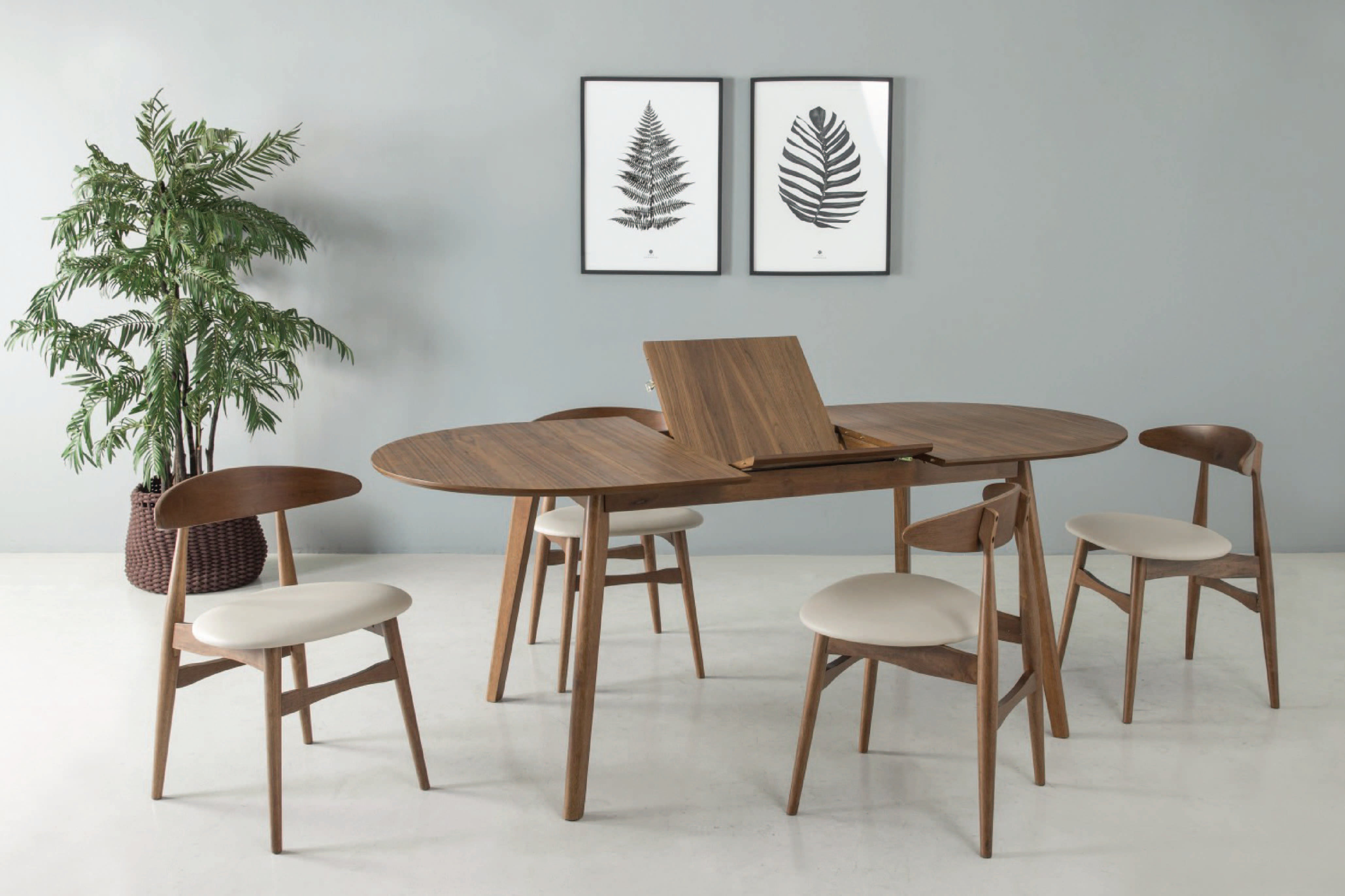 馬來西亞原裝進口實木傢俬 - NZ系列 - TELYN餐槣