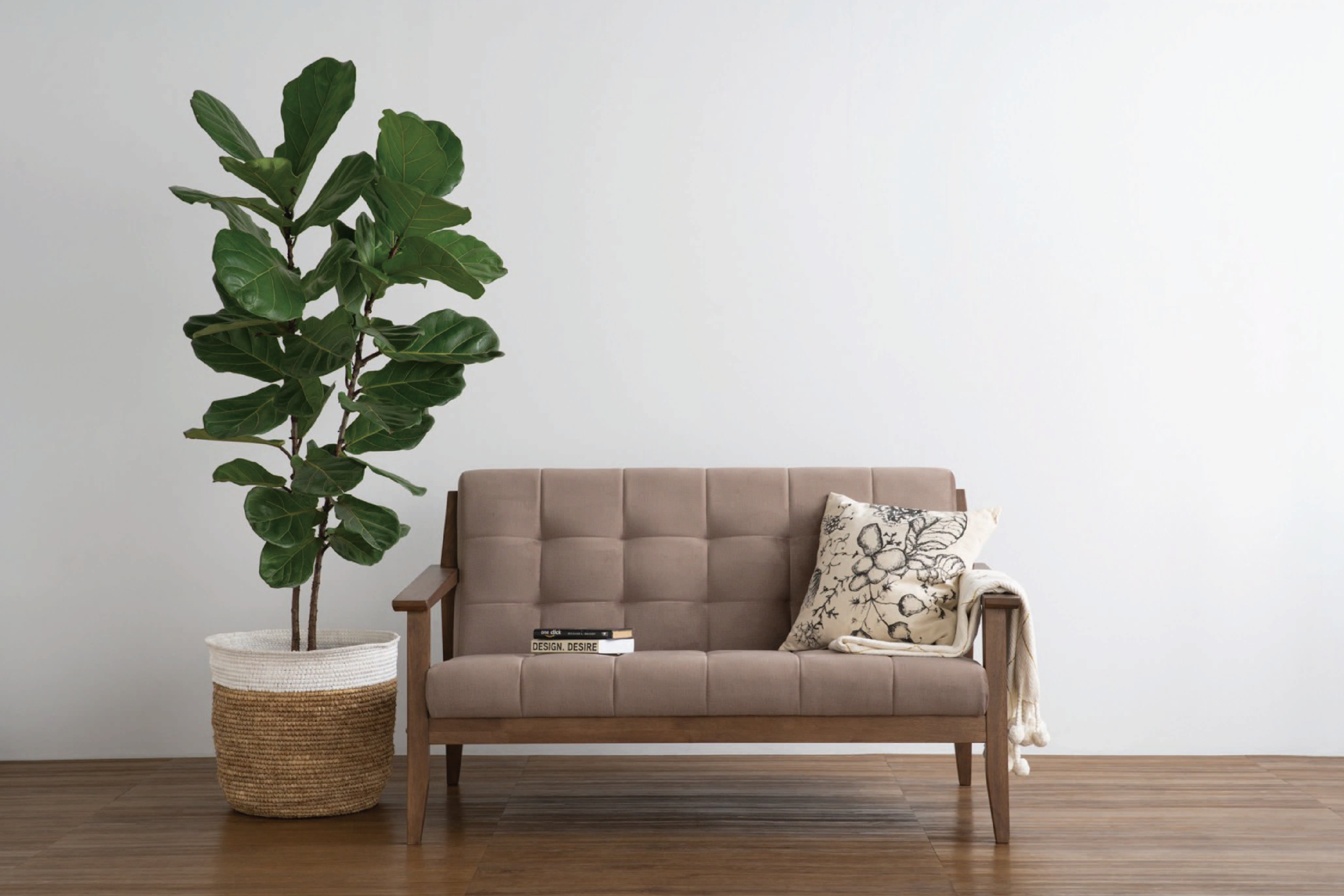 馬來西亞原裝進口實木傢俬 - NZ系列 - TERRA 兩座位梳化