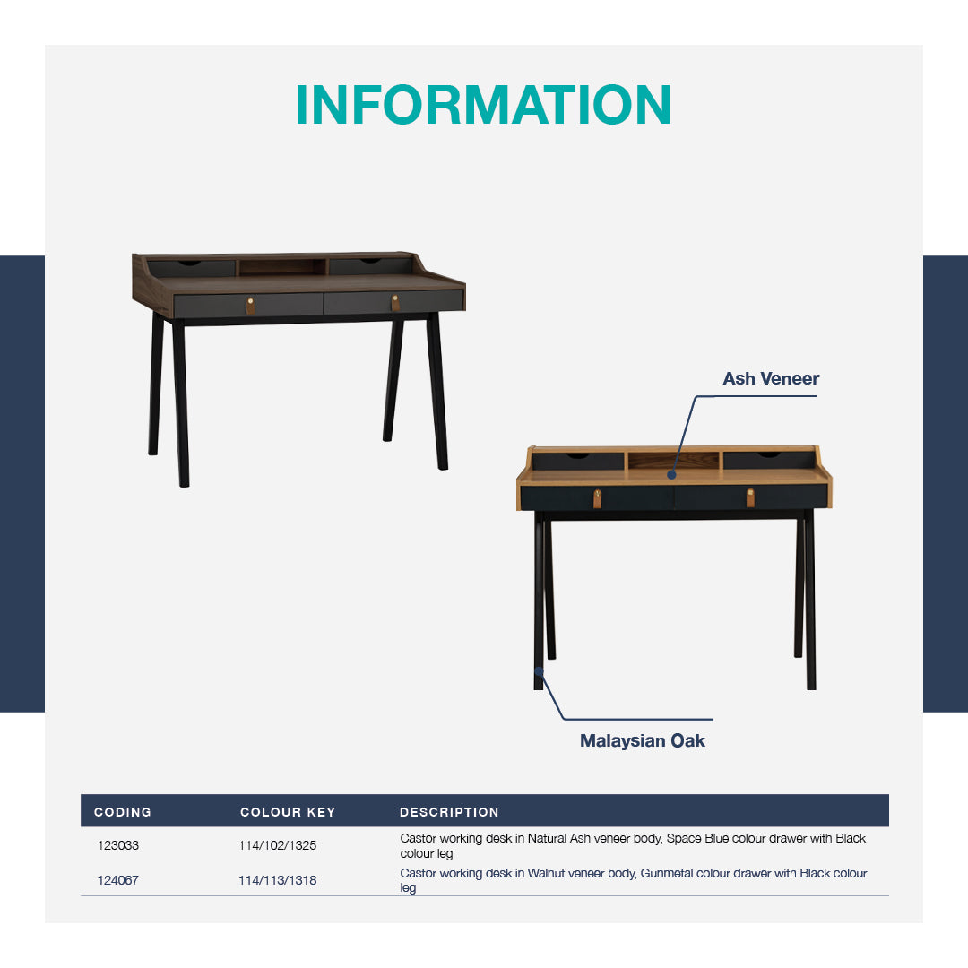 馬來西亞原裝進口實木傢俬 - LU系列 - CASTOR書桌