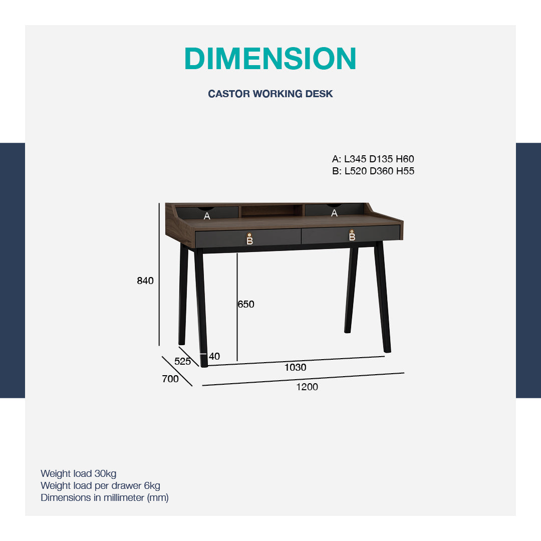 馬來西亞原裝進口實木傢俬 - LU系列 - CASTOR書桌