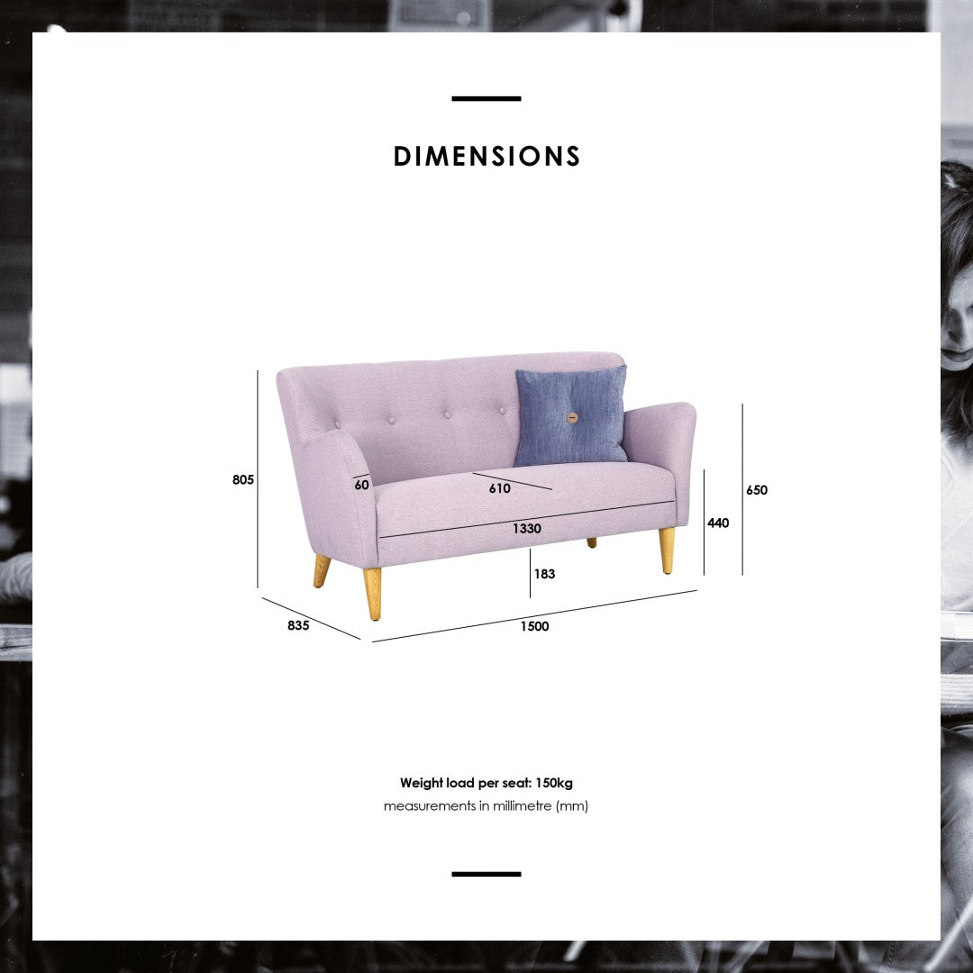 馬來西亞原裝進口實木傢俬 - NC系列 - CRUISER兩座位梳化