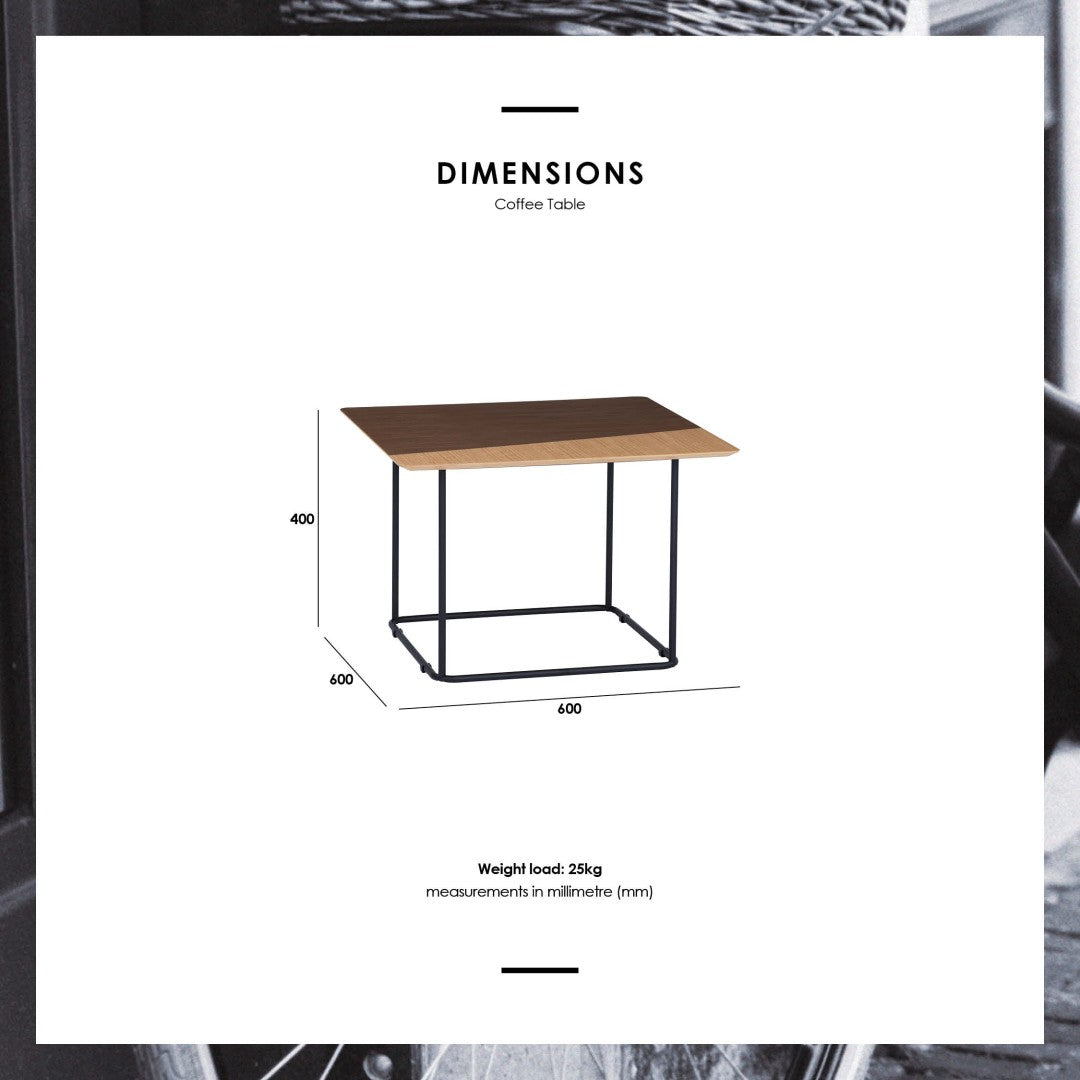 馬來西亞原裝進口實木傢俬 - NC系列 - DESTRY茶几