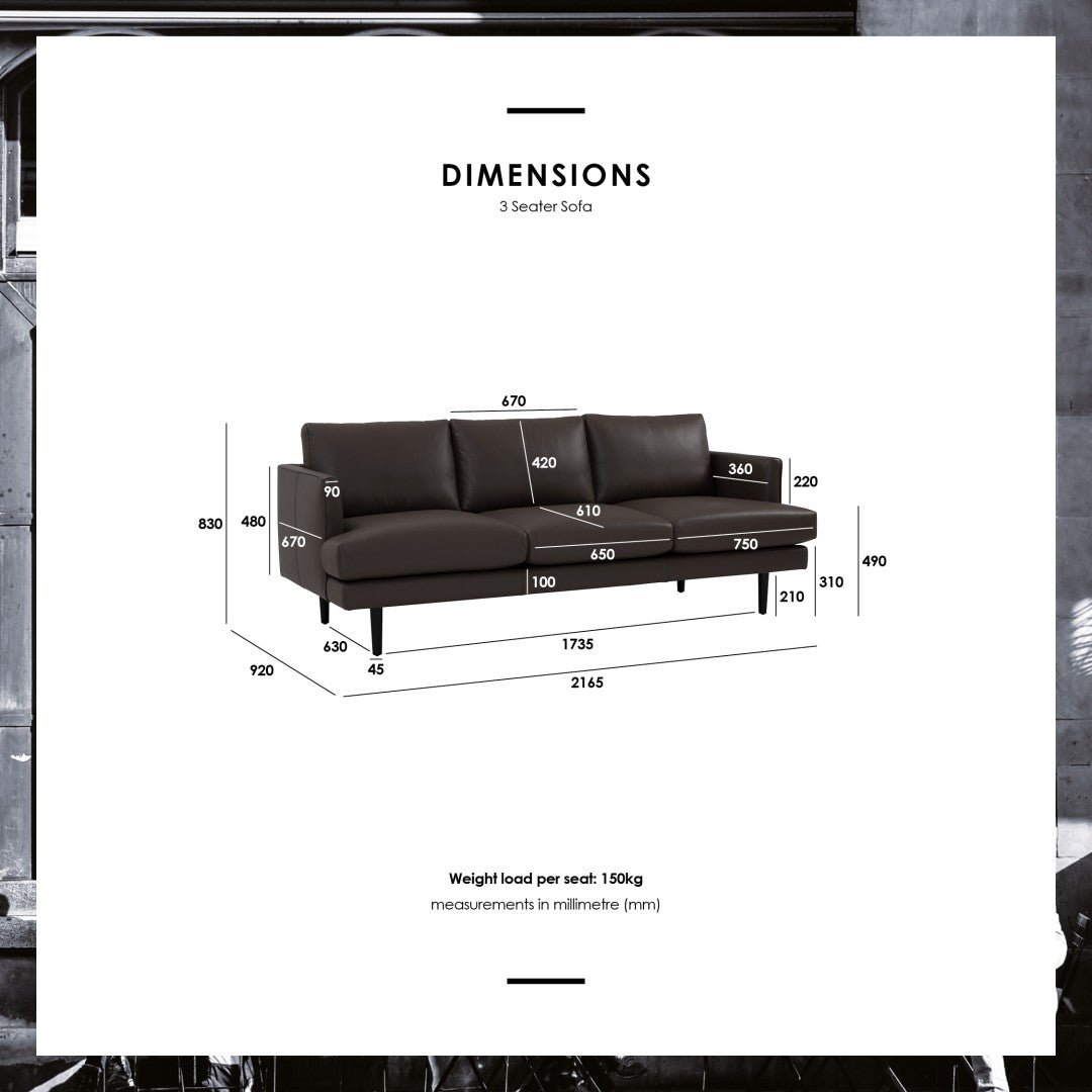 馬來西亞原裝進口實木傢俬 - NC系列 - DEXTER三座位梳化